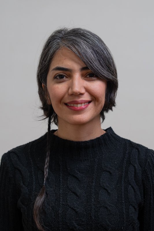 Bahareh Azimi