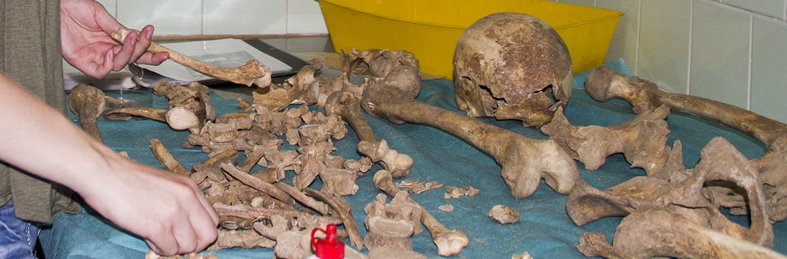 osteoarchaeology