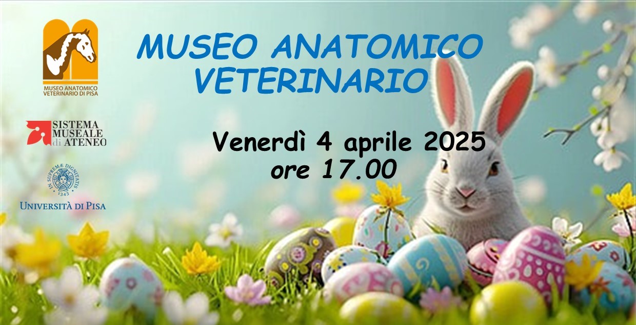 Anteprima_Locandina-Pasqua-2025-MAV.jpg