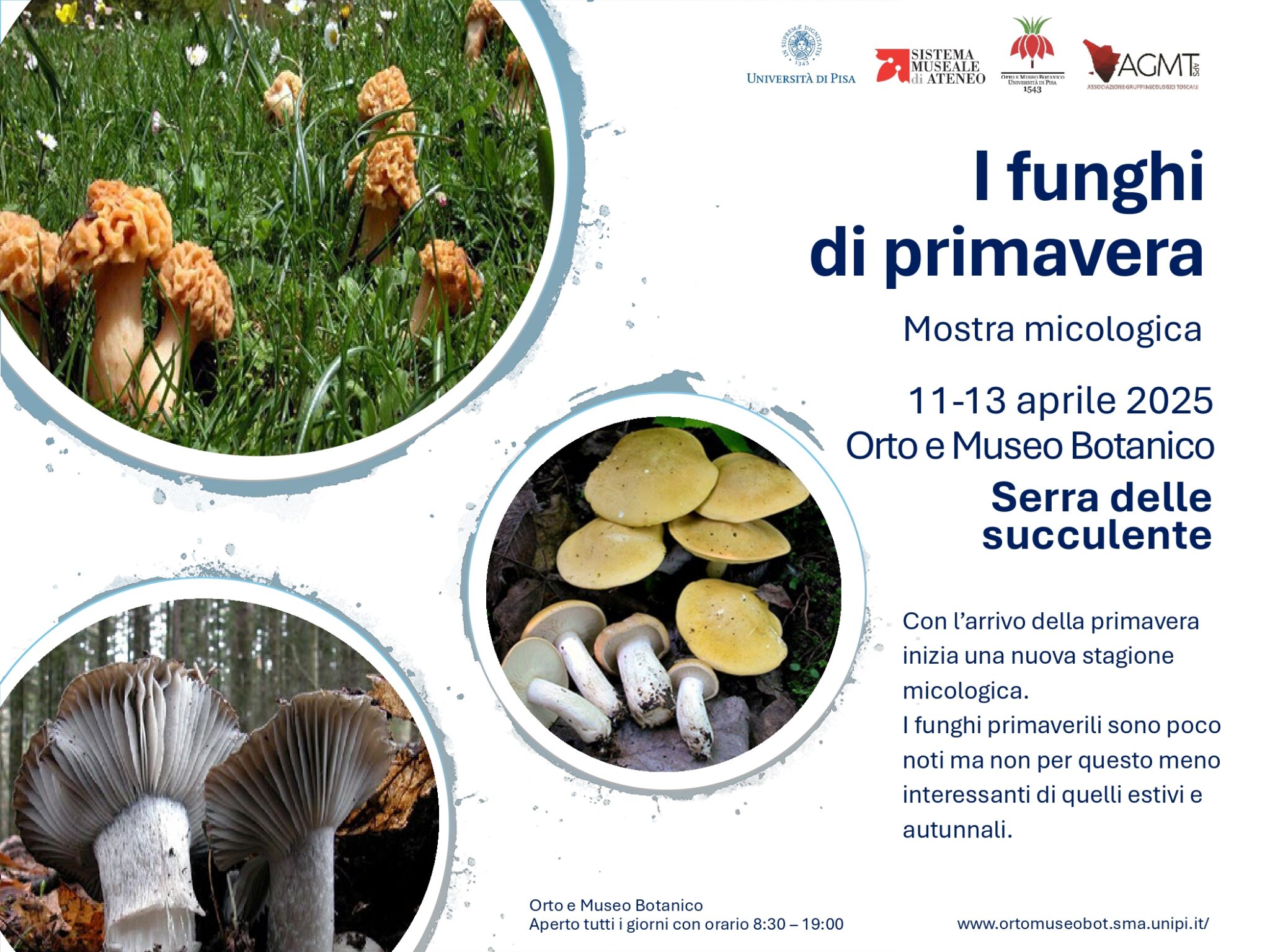 Locandina I funghi di primavera.jpg