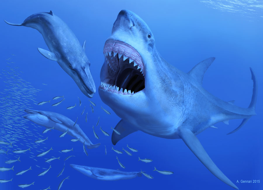 megalodon_-reconstruction.jpg