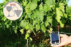 RFID_TOSCOVIT