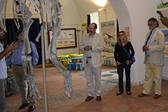 museo di storia naturale