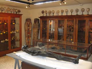 sala museo anatomia