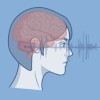 Linguistica oggi e domani. Percorsi e sfide di una disciplina in movimento
