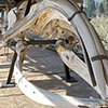 1984-2024: La Galleria dei cetacei del Museo di Storia Naturale dell’Università di Pisa