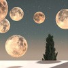 Notte Europea dei Musei 2024