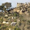 Inaugurazione del Parco della Ricordanza
