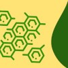 Agroecologia al Centro