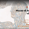 Il sistema locomotore nel Museo di Anatomia Umana