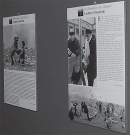 Immagini dalla mostra