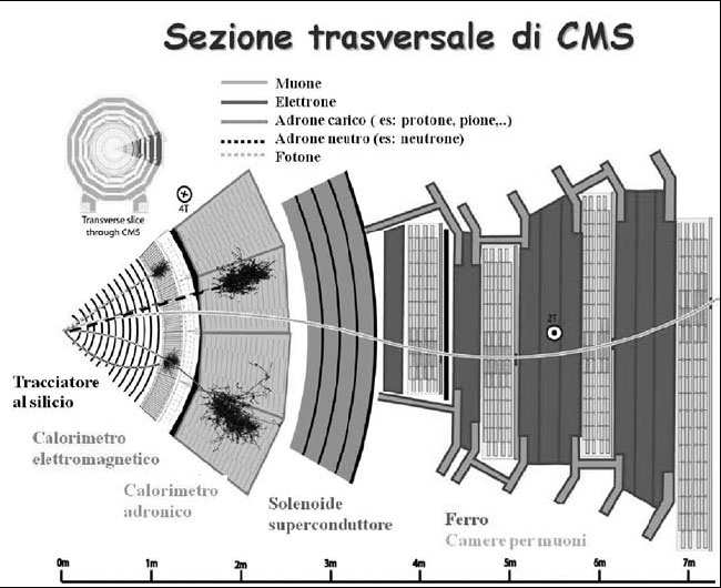 Figura 3. Metodo di rivelazione dei vari tipi di particelle