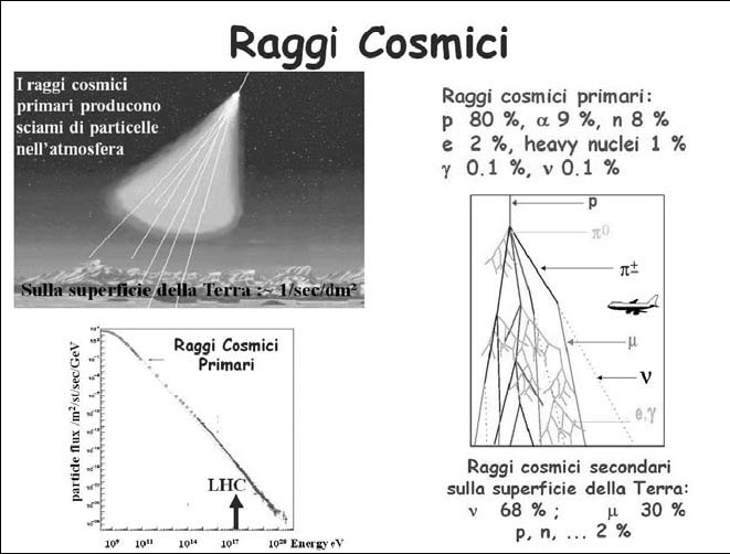 Figura 7. Composizione dei raggi cosmici che colpiscono l’atmosfera terrestre