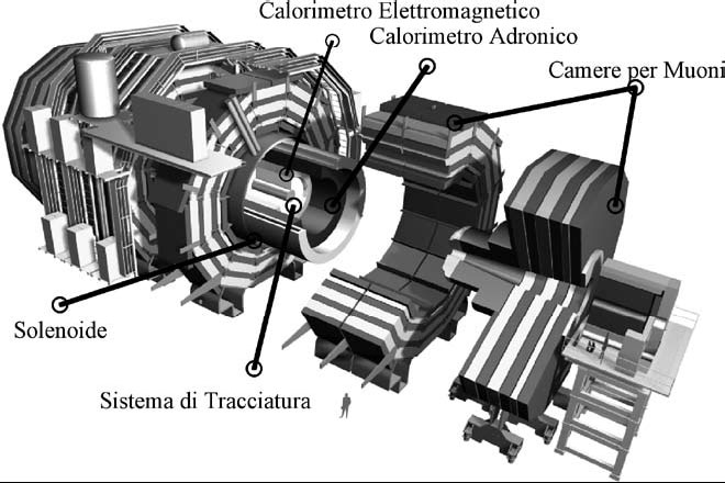 Figura 1. L’apparato sperimentale CMS. Sono indicati i rivelatori principali che lo
compongono