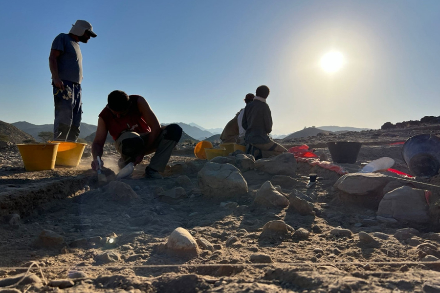un gruppo di archeologi al lavoro sul campo