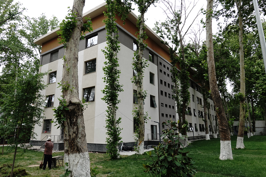 Sede