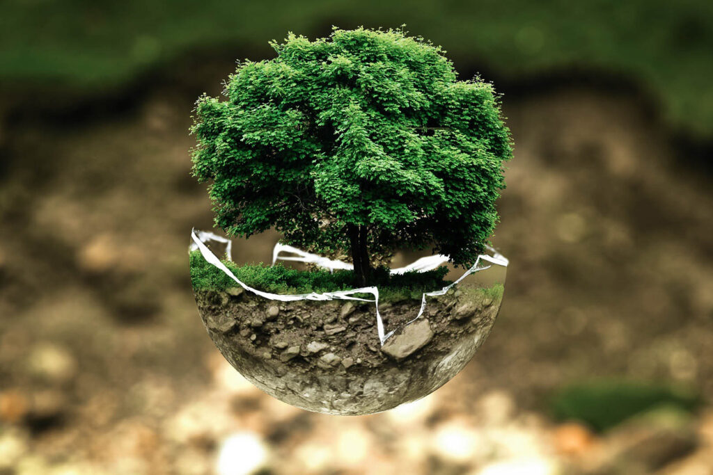 environmental-protection-683437_1920