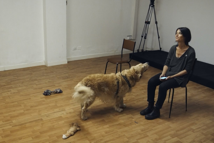 esperimento-attaccamento_cane