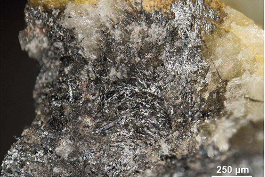ginelfite_home