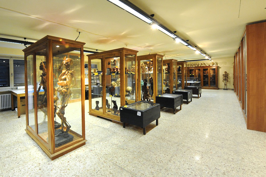 museo