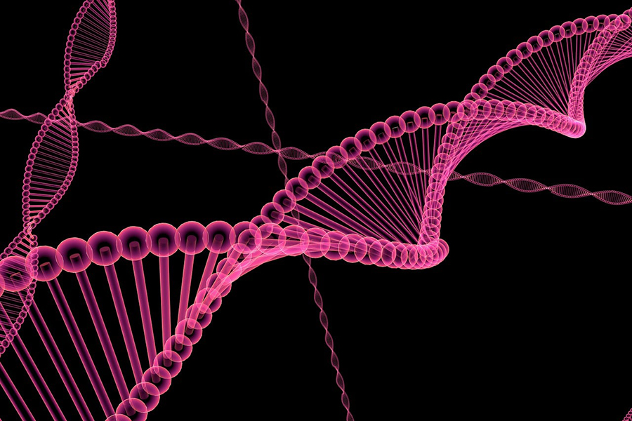 peggy_marco-dna-1015661_1280